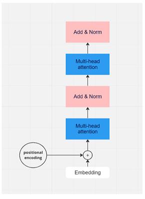 Toward the appropriate interpretation of Alphafold2